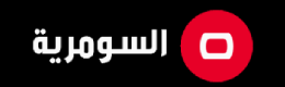 مبارز عراقي يفوز بنحاسية في بطولة دولية